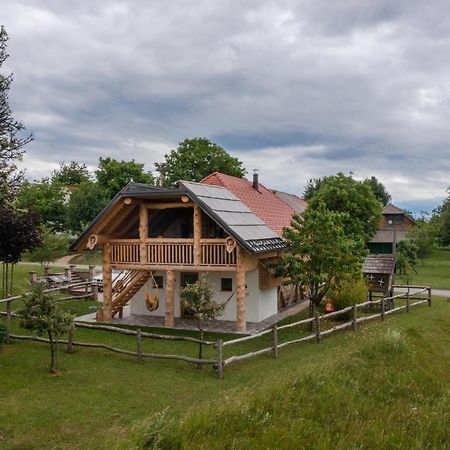 Holiday Home Virida, App Leopold III Ivancna Gorica ภายนอก รูปภาพ