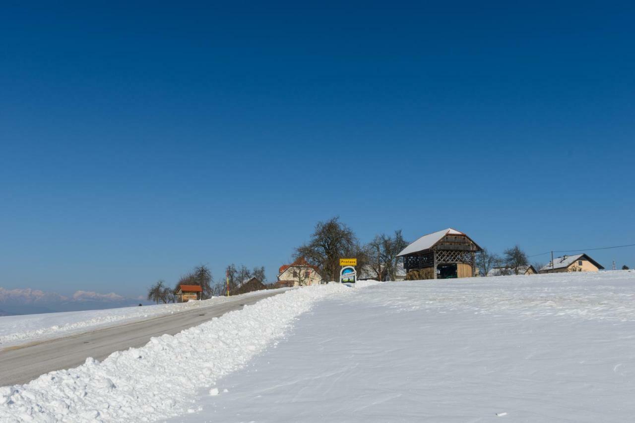 Holiday Home Virida, App Leopold III Ivancna Gorica ภายนอก รูปภาพ