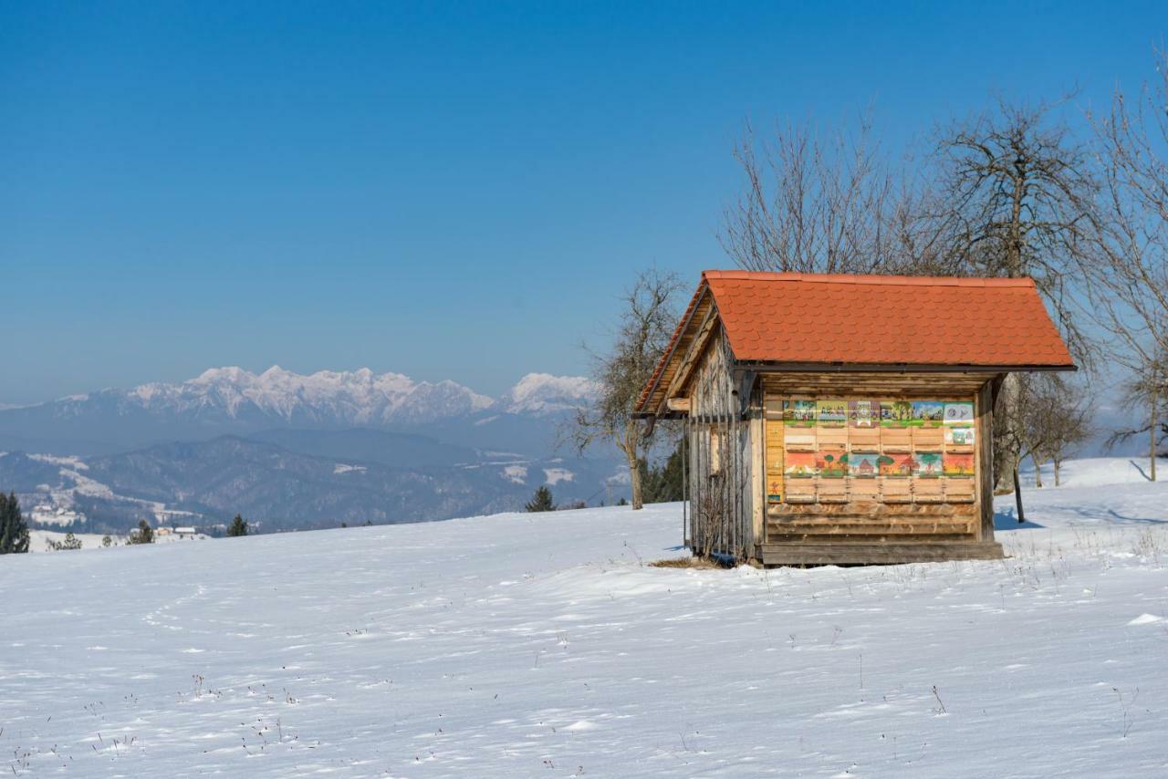 Holiday Home Virida, App Leopold III Ivancna Gorica ภายนอก รูปภาพ